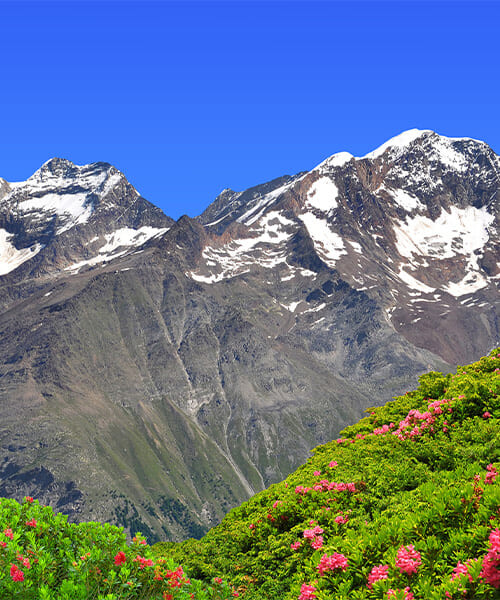 Vue sur Weissmies, Lagginhorn and Fletschhorn © Adobe Stock
