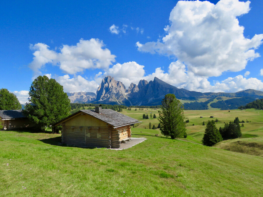 Alpe di Siusi Alpe di Siusi