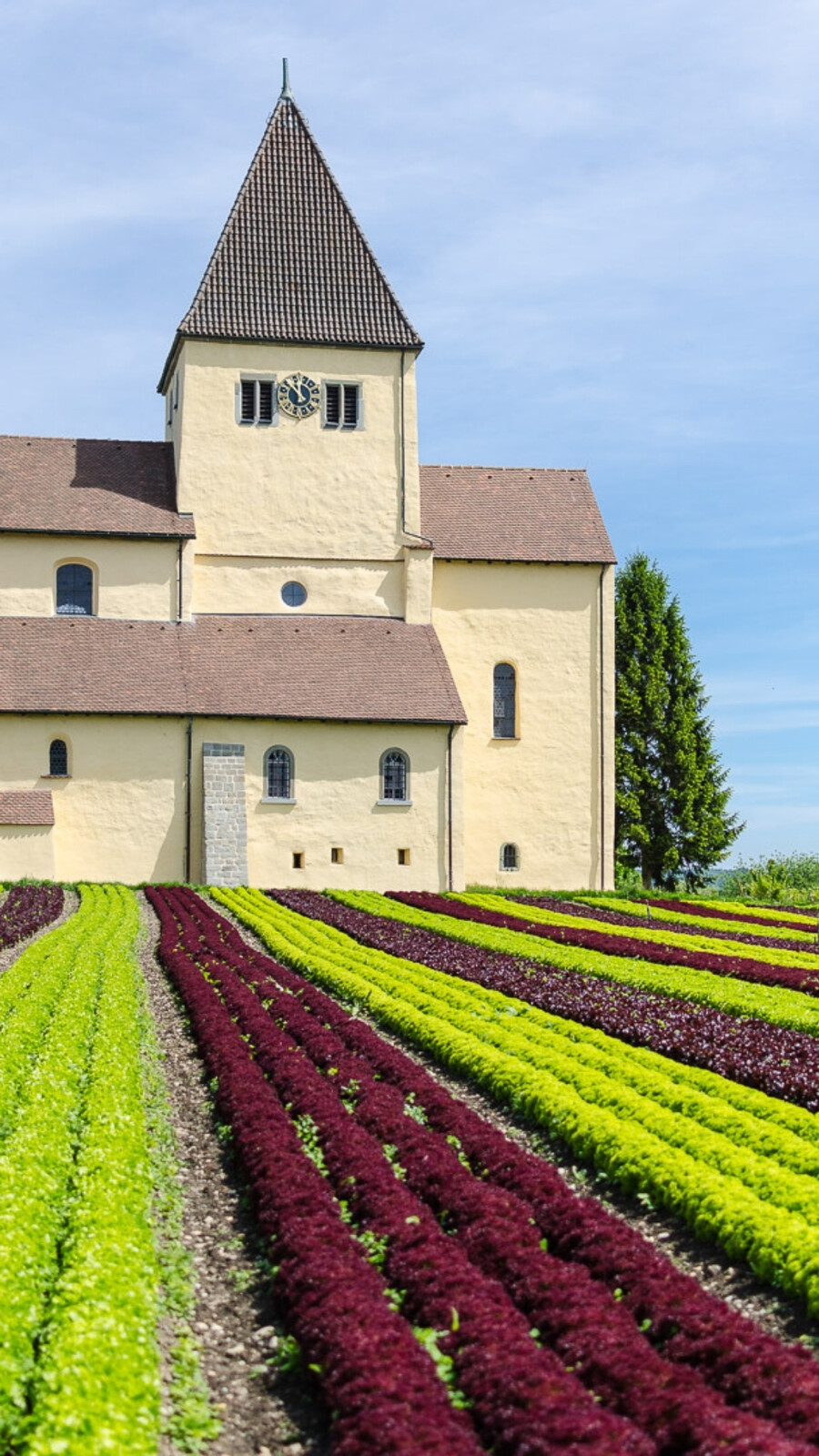 Île de Reichenau 