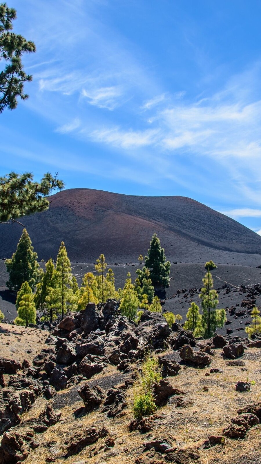 La réserve naturelle du Chinyero