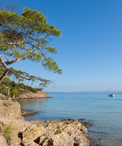  Ile de Porquerolles