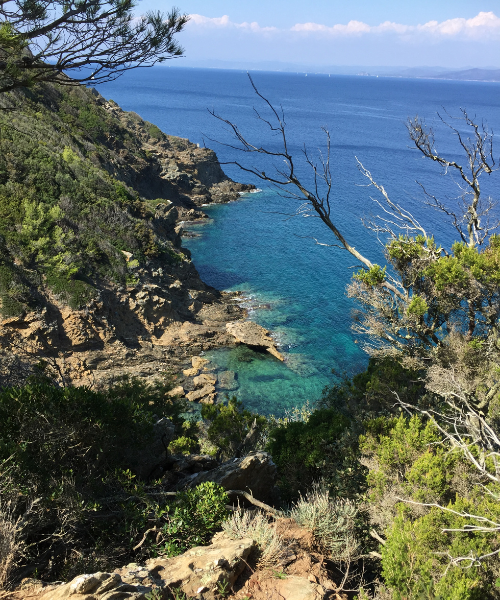 Ile de Port-Cros