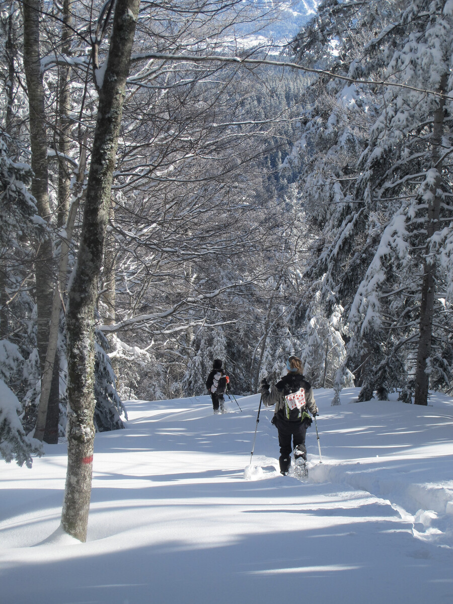 J3 Les Hauts Plateaux
