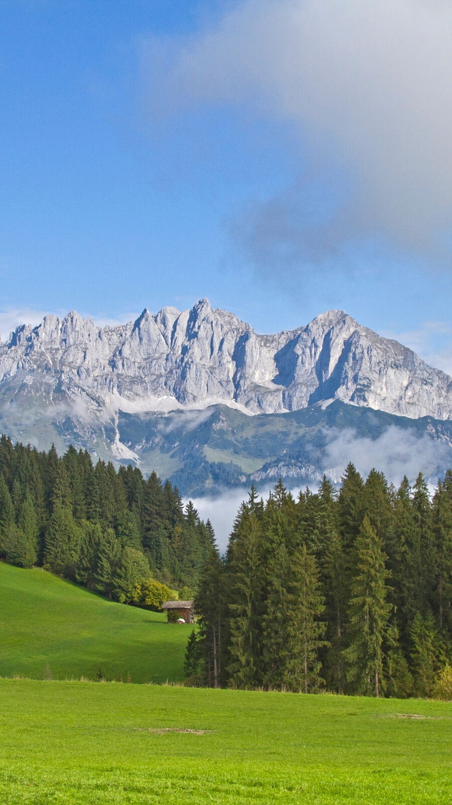 Vue sur le Wilder Kaiser