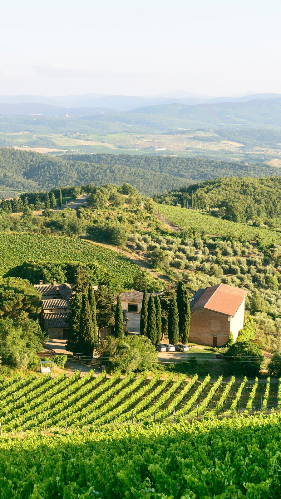 Chianti