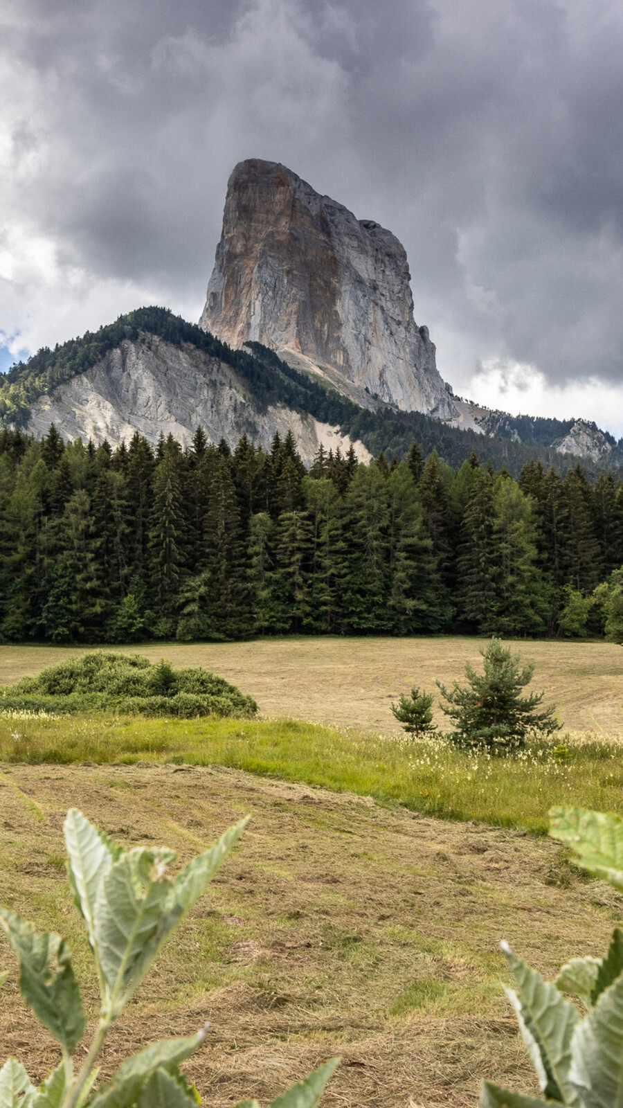 Gresse en Vercors