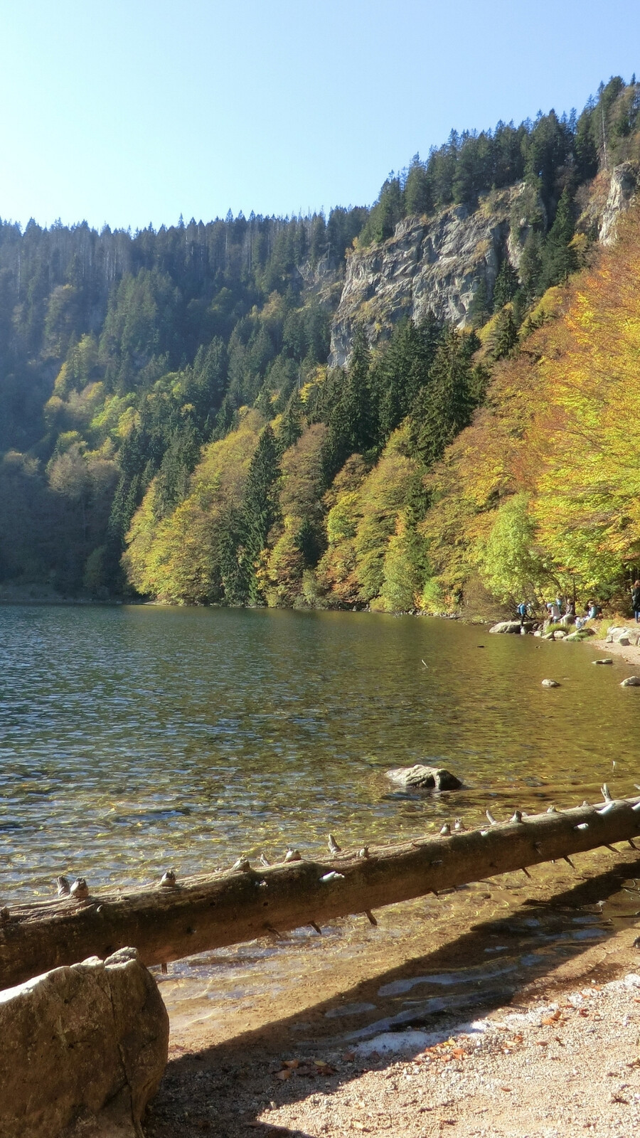 Lac de Feldsee