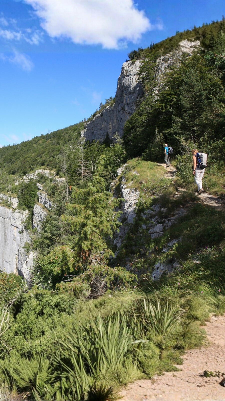 Sentier randonnée Autrans - Rencurel