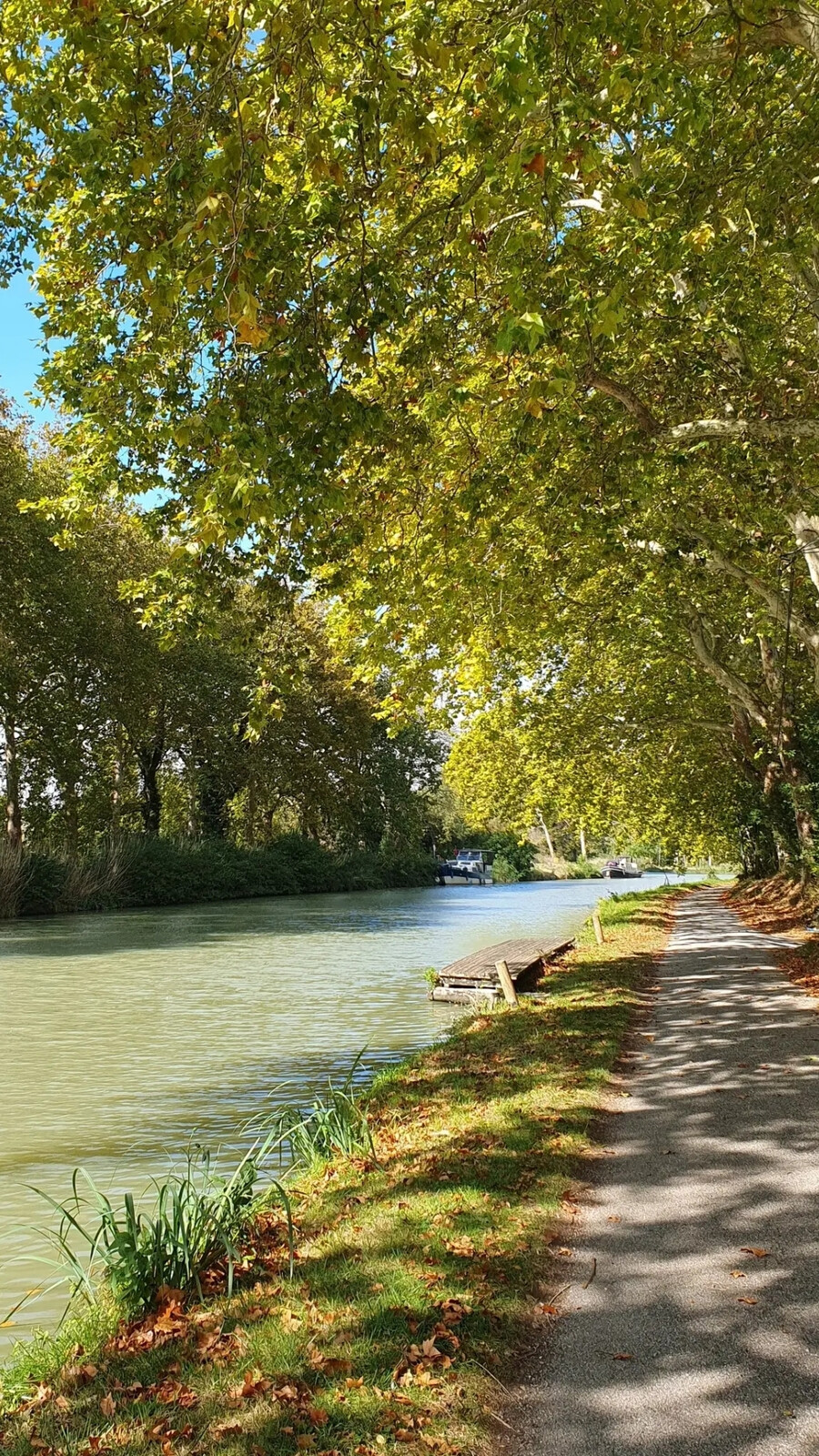 Le long du canal du midi