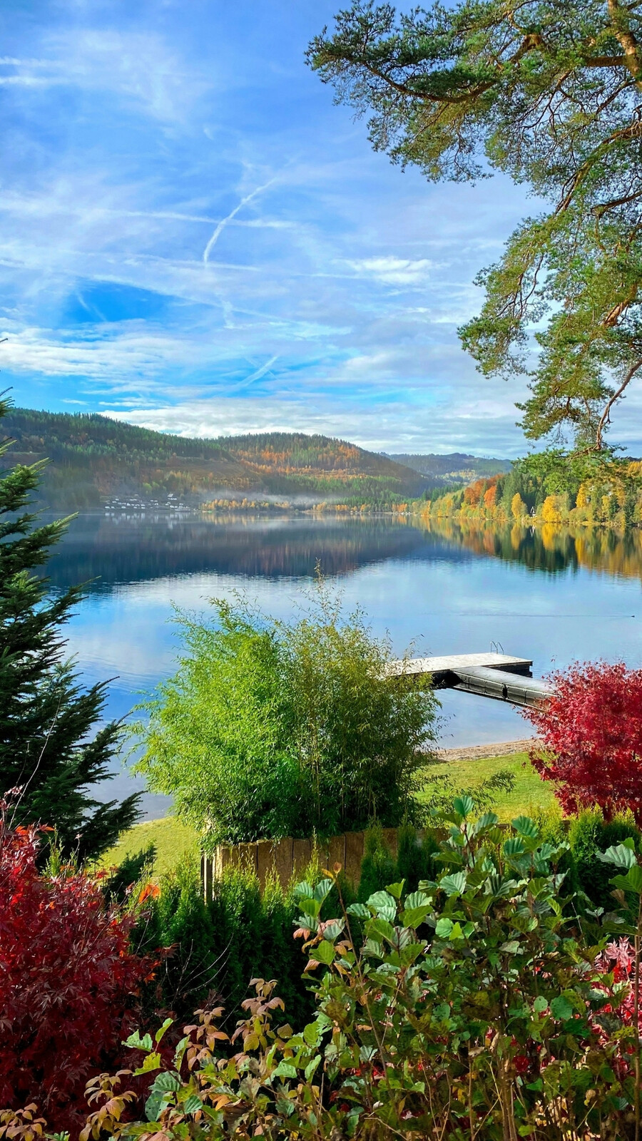 Lac de Titisee
