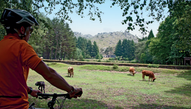 Parc National de Gerês