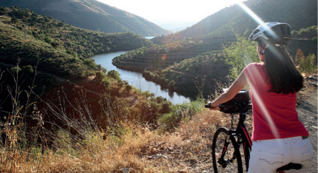 Vélo le long du Douro