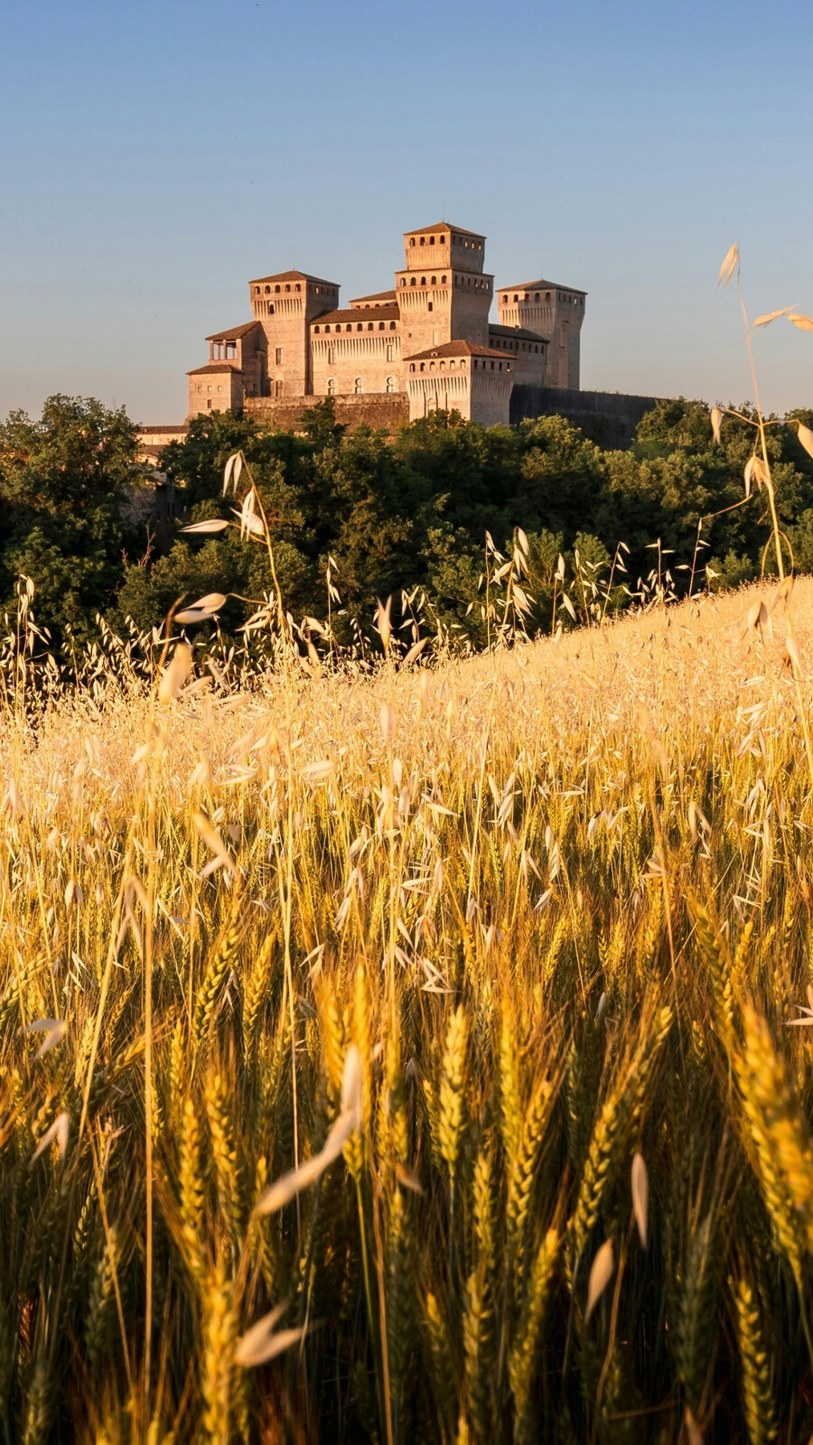 Château de Torrechiara 