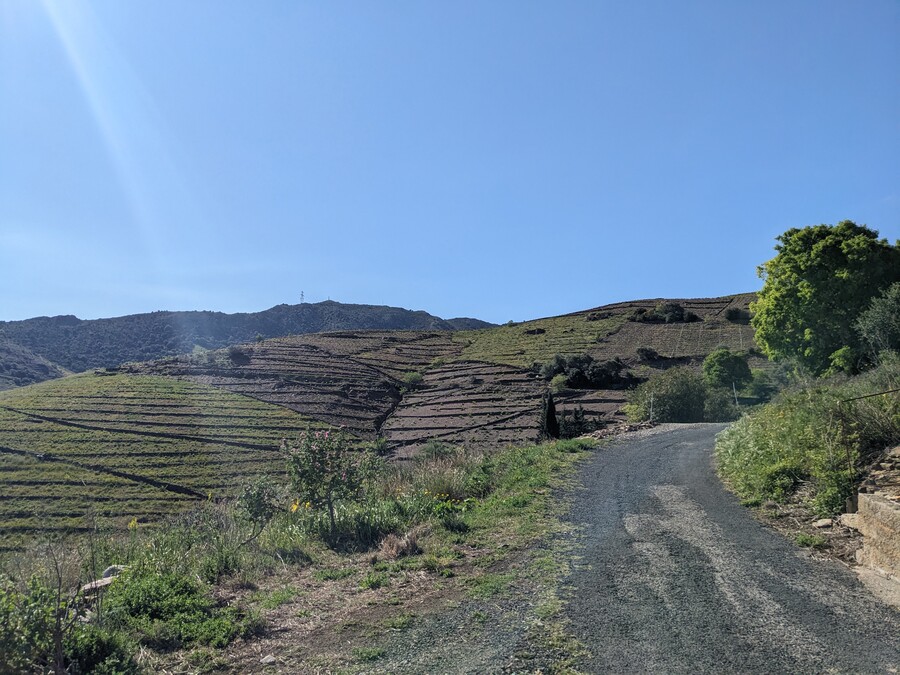 piste VTT dans les vignes de banyuls © Quentin Vanaker