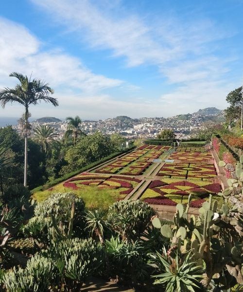 Jardin de Funchal (c) David Praire