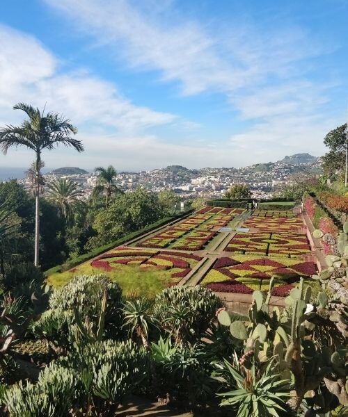 Jardin de Funchal (c) David Praire Jardin de Funchal (c) David Praire