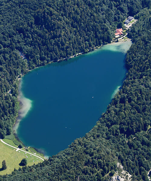 Alatsee © Carten Steger Alatsee-©-C.-Steger