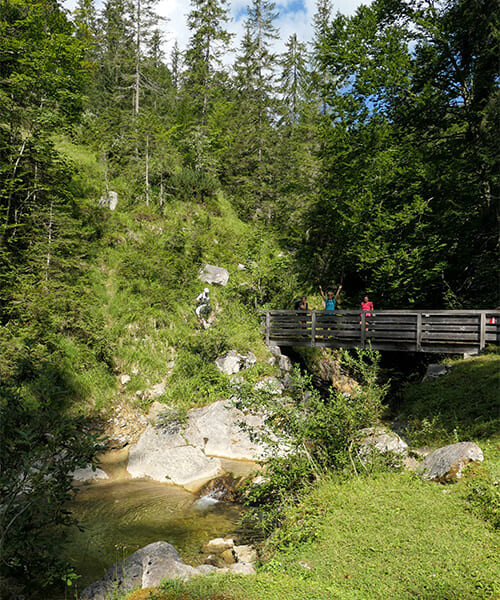 Foret Achenkirch © Beatrix Voigt Foret Achenkirch © Beatrix Voigt
