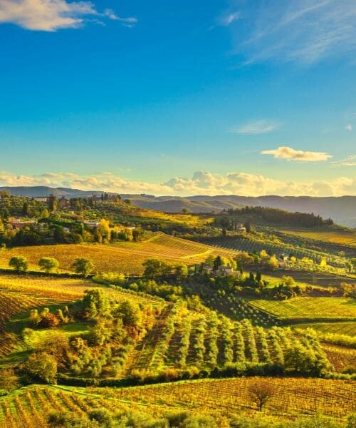Panzano dans le Chianti 