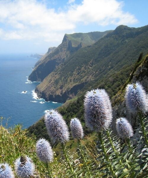 Sentier de la côte nord - Madère (c) Manuel Spinosa