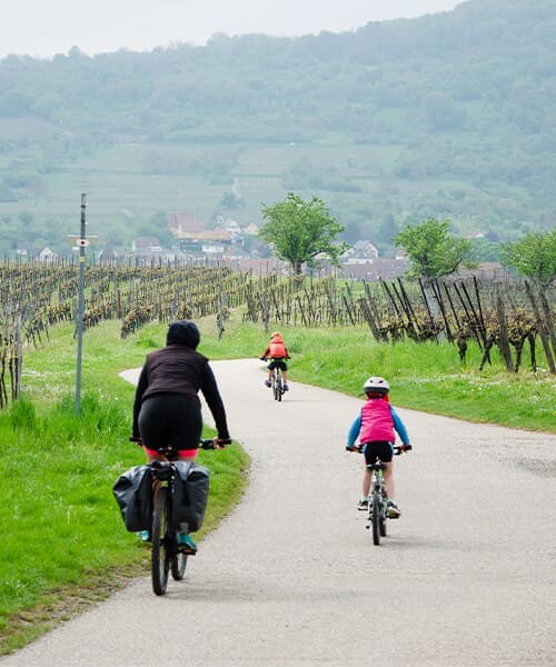 A travers les vignes © Quentin Vanaker