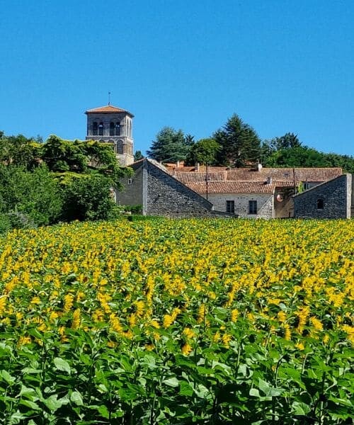 Paysage entre Nontron et Angoulême 