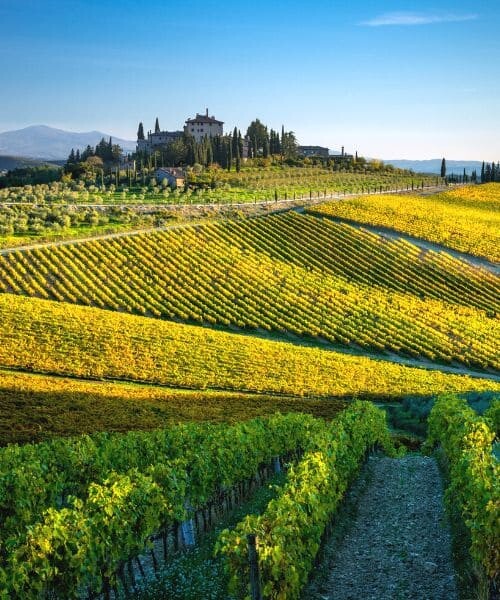 Radda in Chianti 