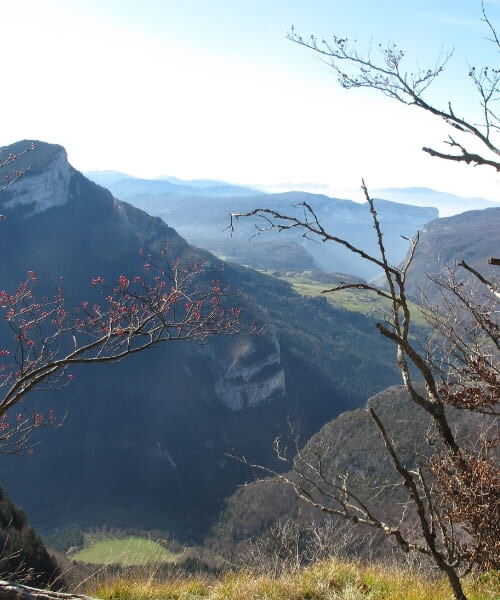 Vue sur les gorges de la Bourne