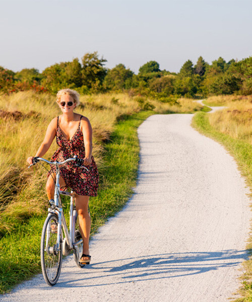Terschelling Terschelling