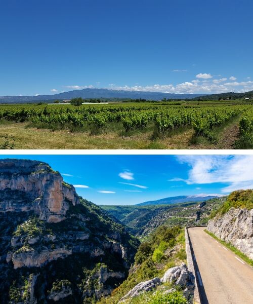 Vignoble AOC et Gorges de la Nesque 