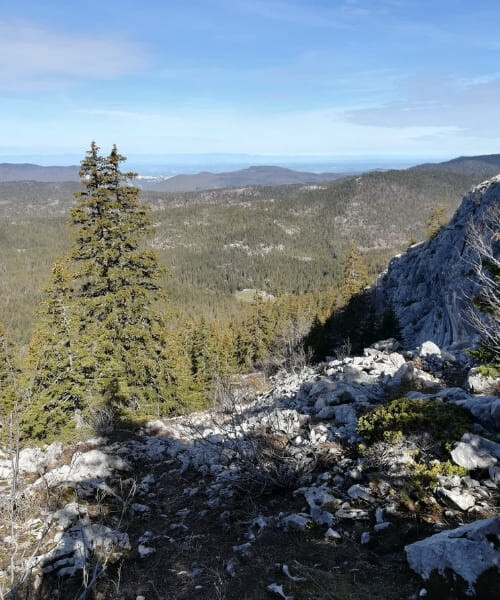 Vue sur Hauts plateaux Vercors depuis Grand Pot