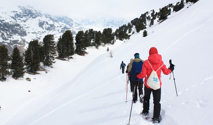 Séjour raquettes en Suisse