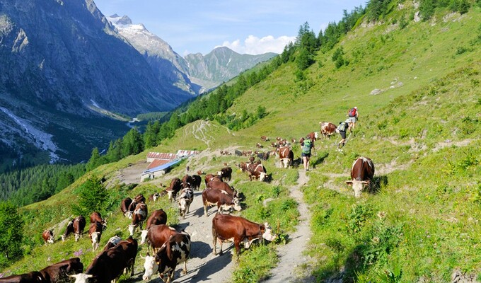 Trek en juillet