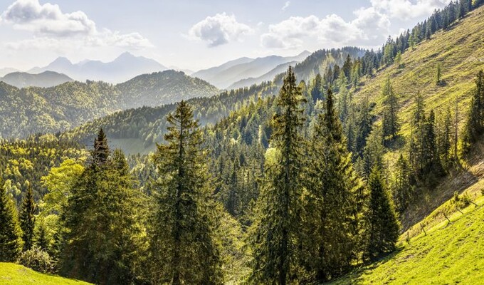 trek debutant alpes