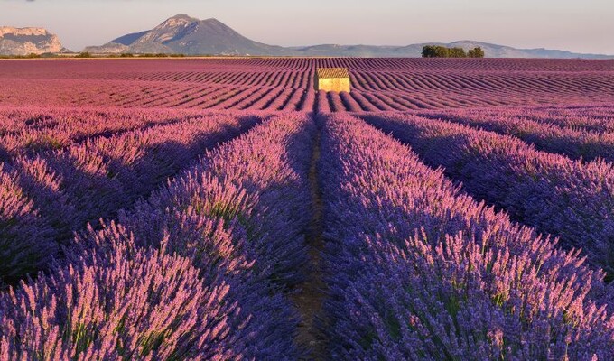 Voyage à vélo en Provence