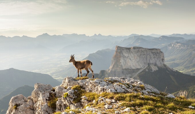Trièves et Tour du Mont Aiguille en liberté