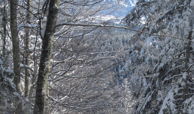 Voyages à la neige