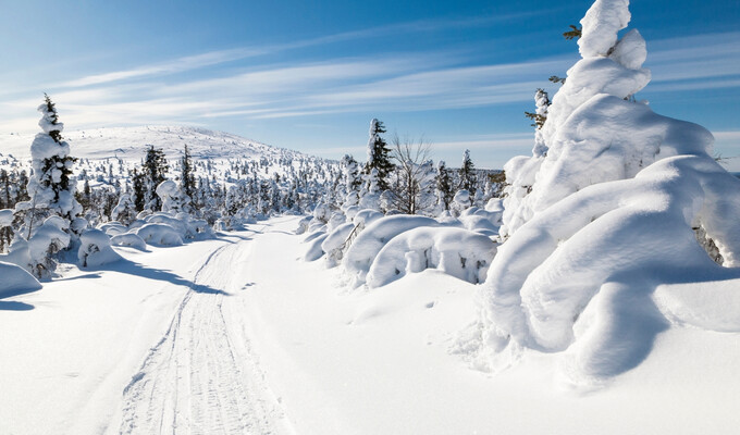 Trek en Finlande