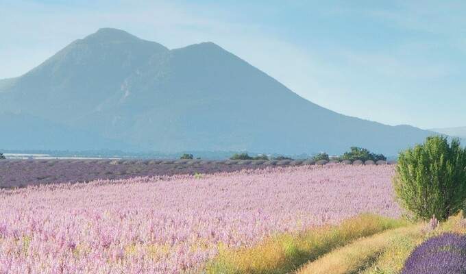 Voyage organisé dans le Sud de la France