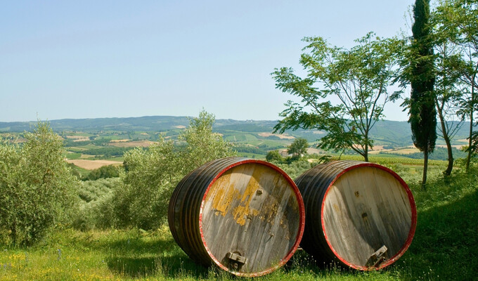 Route des vins en automne