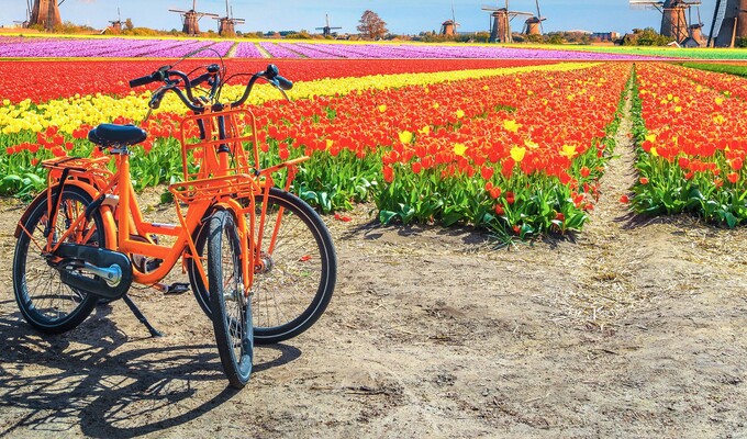 Pays-Bas à vélo en famille