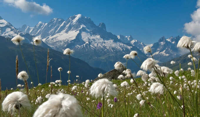 Trek - Tour du Mont Blanc intégral - 9 jours