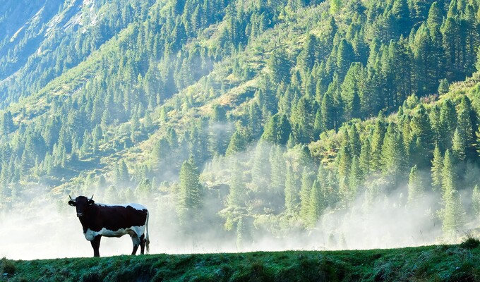 trek alpes 7 jours