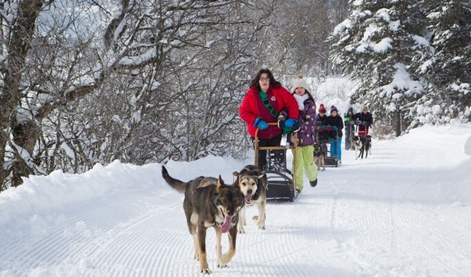 Chiens de traîneaux dans le massif du Vercors © Lionel Pascale, La Drôme Tourisme Chiens de traîneaux dans le massif du Vercors