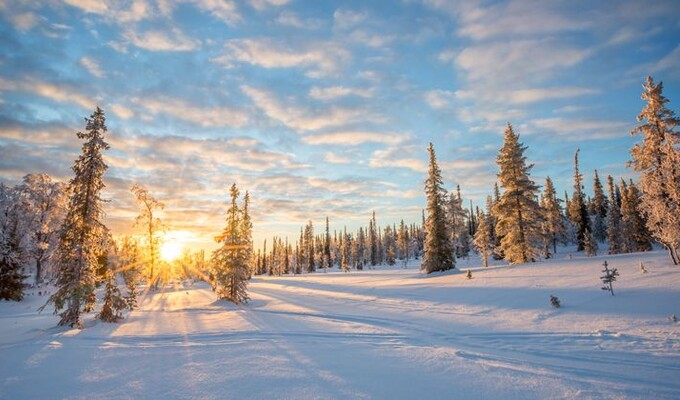 Image Traversée de la Haute Forêt-Noire à ski de fond