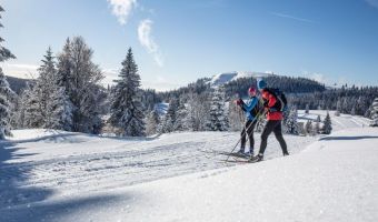 Voyage à la neige : Villages et Sommets de la Haute Forêt Noire