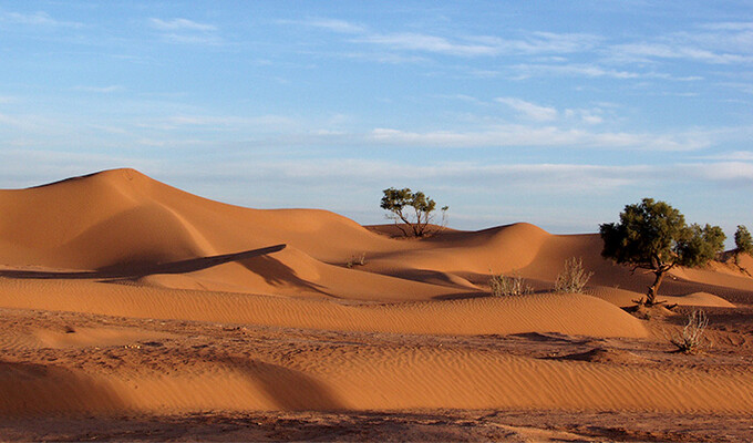 Image Dunes et Oasis du sud marocain