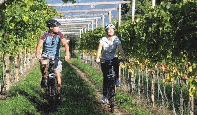 Image Tour du lac de Constance à vélo