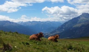 Grande Traversée des Alpes, trek de la vallée de Chamonix-Mont Blanc à la Haute Maurienne