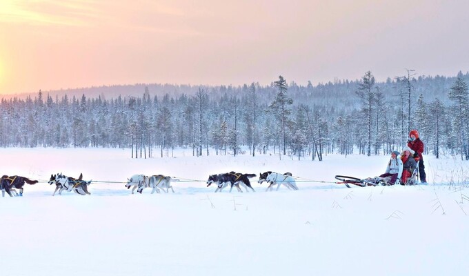 Image Laponie suédoise : la piste Royale en raquettes